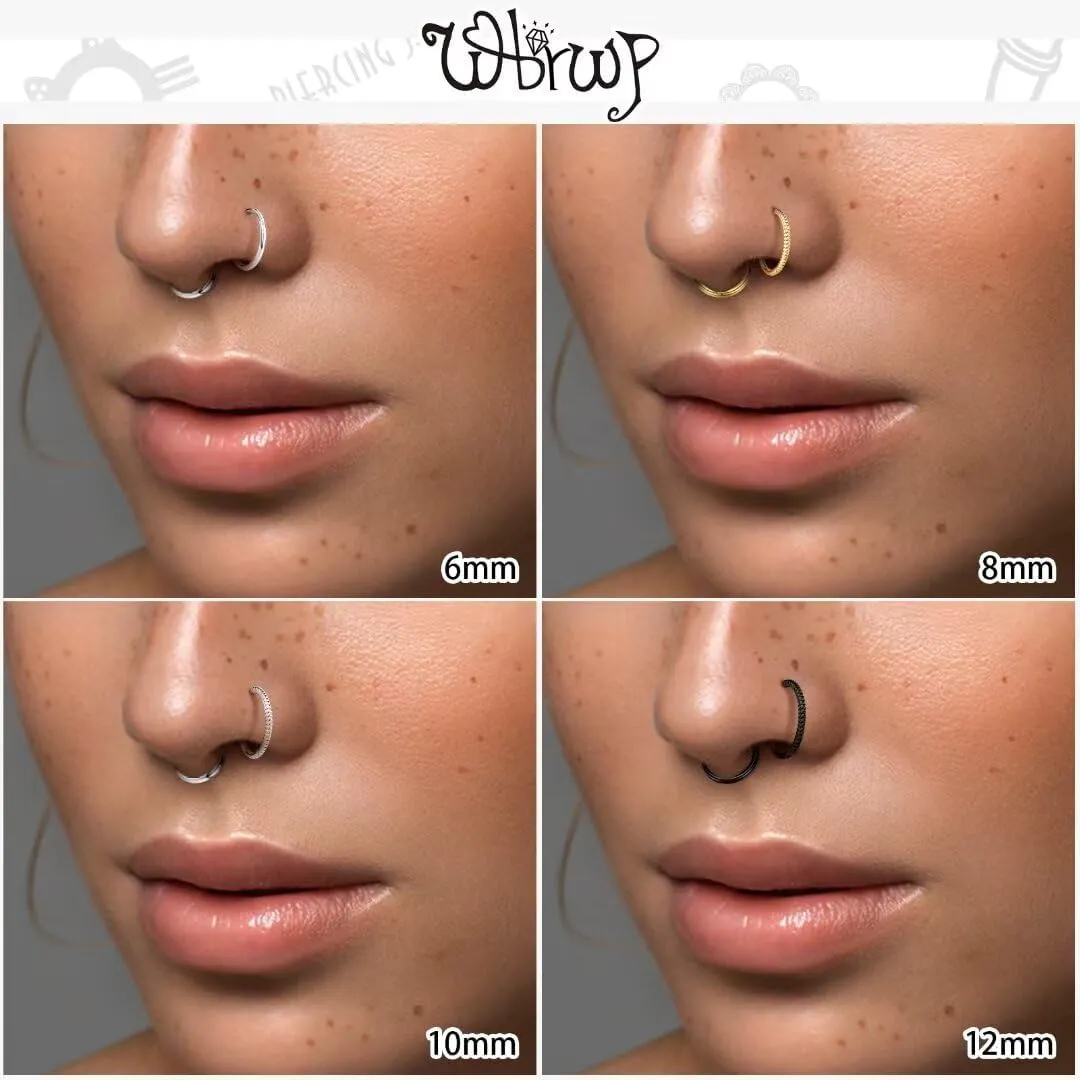 20G 18G 16G 14G Hinged Nose Rings Hoops: 2 Pcs Surgical Steel Seamless Twisted CZ Nose Rings Clicker for Septum Lip Piercing Cartilage Helix Tragus Conch Rook Daith Lobe Earrings 6mm 7mm 8mm 9mm 10mm 12mm Body Piercing Jewelry