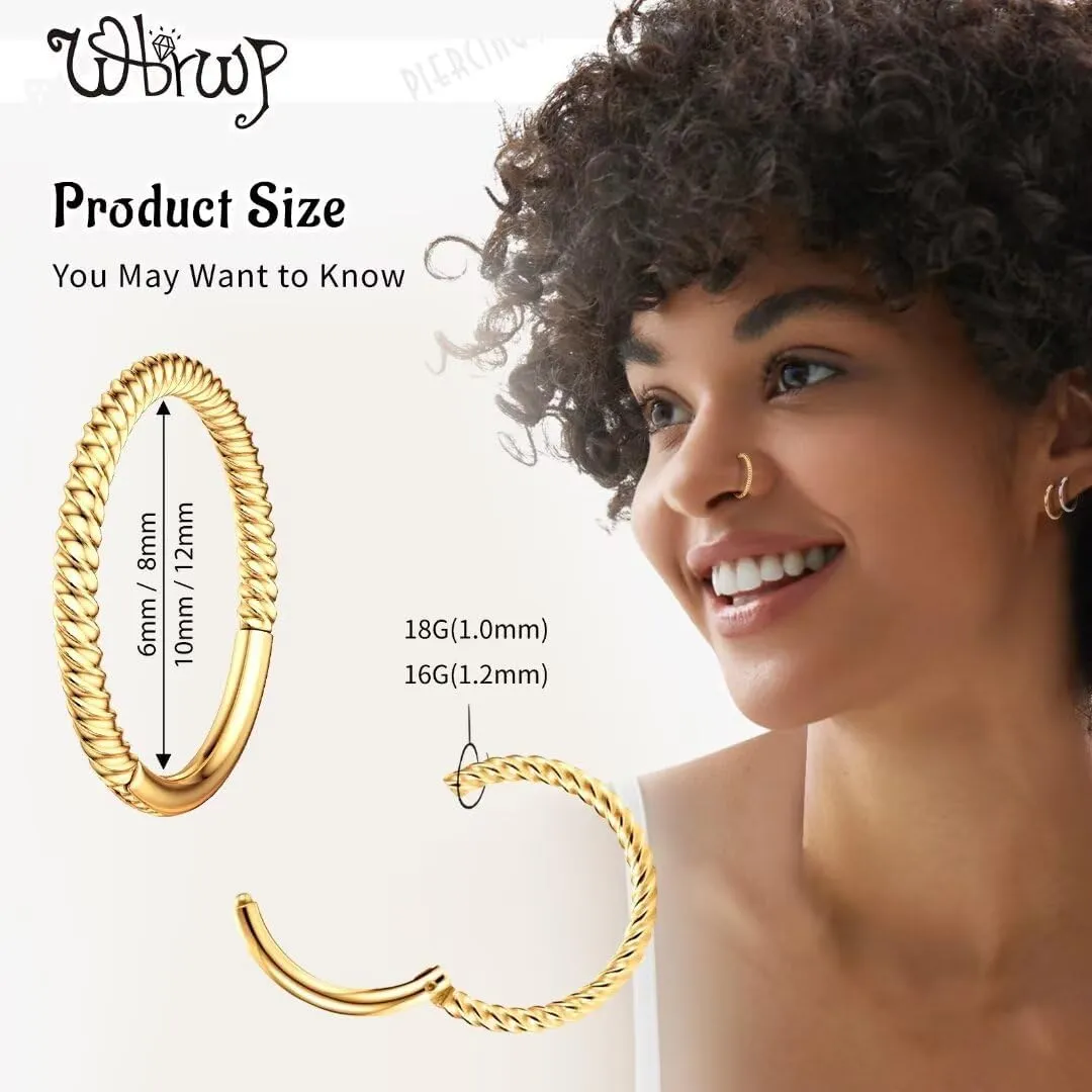20G 18G 16G 14G Hinged Nose Rings Hoops: 2 Pcs Surgical Steel Seamless Twisted CZ Nose Rings Clicker for Septum Lip Piercing Cartilage Helix Tragus Conch Rook Daith Lobe Earrings 6mm 7mm 8mm 9mm 10mm 12mm Body Piercing Jewelry