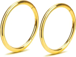 2Pcs Women Men Titanium Nose Rings Hoops 20G 18G 16G Hinged Nose Clicker for Nostril Septum Cartilage Helix Tragus Conch Daith Rook Lip Ear Lobe Piercings Diameter 6mm/7mm/8mm/9mm/10mm/12mm Sliver-Gold-Black-Rose Gold