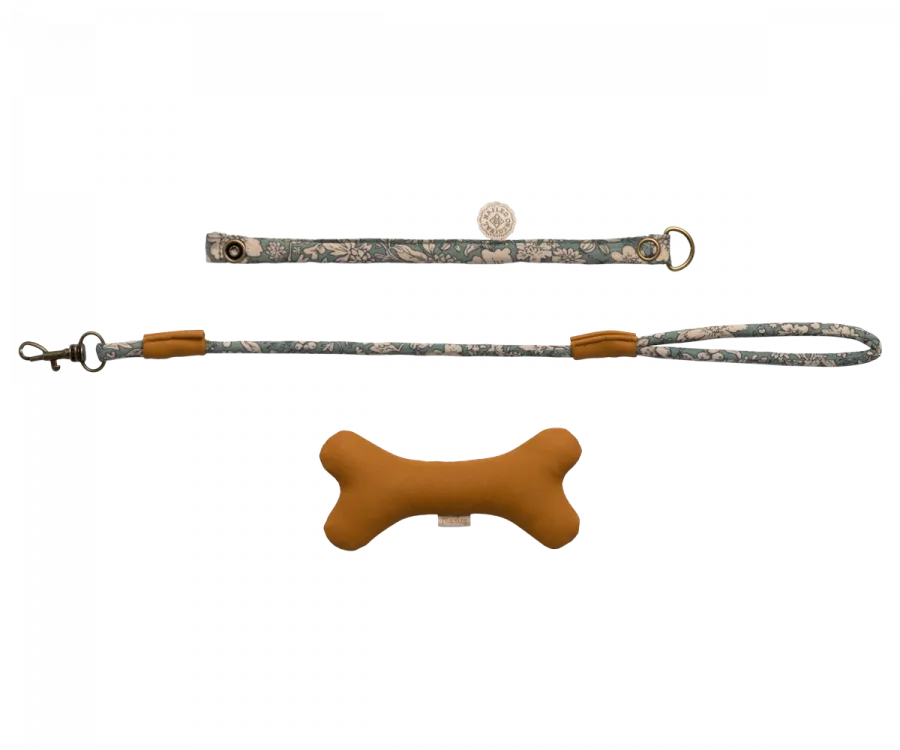 Accessoires chiot - Bleu