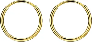 FANSING Earrings for Women Hoop Earrings Trendy Cartilage Earring Hoop Surgical Steel Earrings for Men