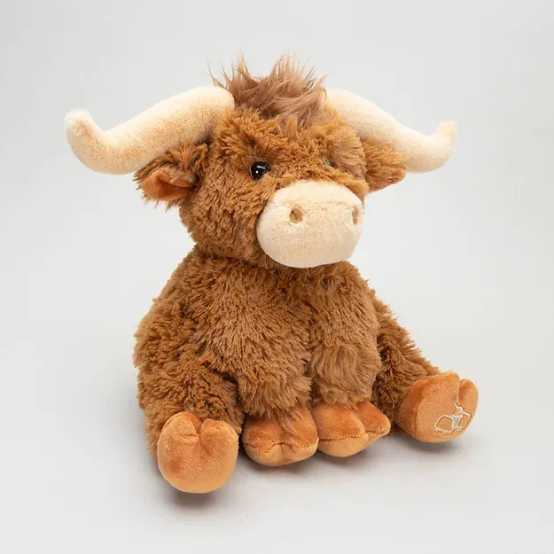 Highland Coo