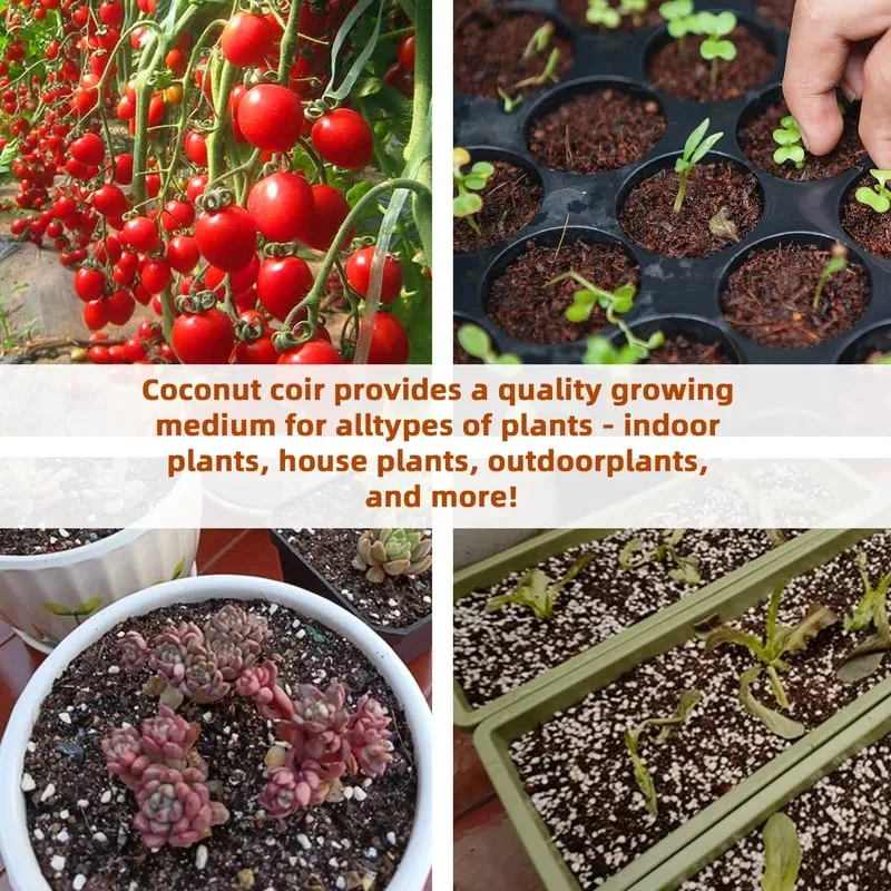 Hot Sale 49% OFF - Premium Organic Coconut Coir Bricks For Plants