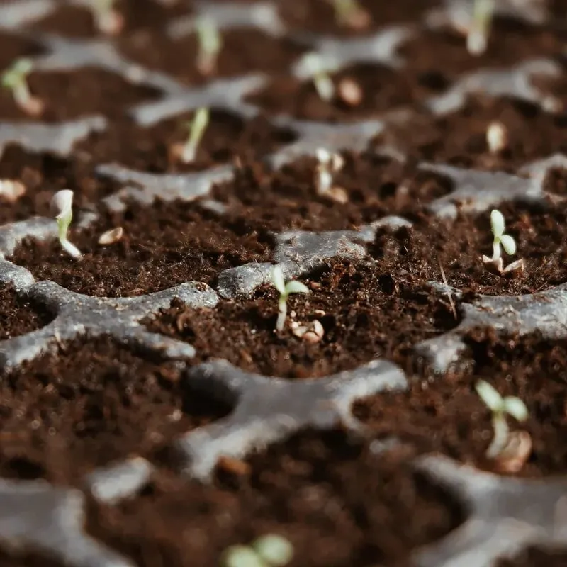 Hot Sale 49% OFF - Premium Organic Coconut Coir Bricks For Plants
