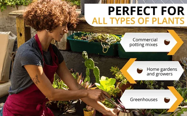 Hot Sale 49% OFF - Premium Organic Coconut Coir Bricks For Plants