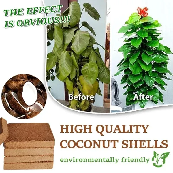 Hot Sale 49% OFF - Premium Organic Coconut Coir Bricks For Plants