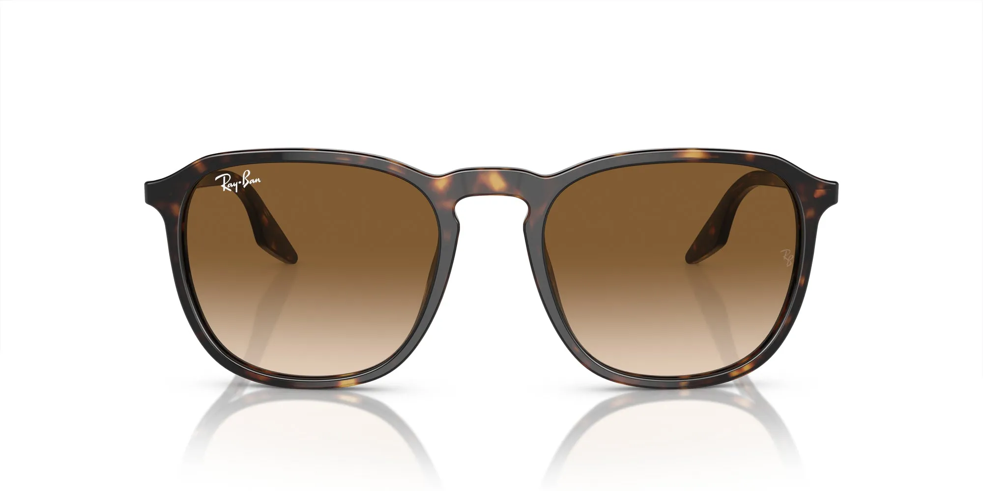 Ray-Ban RB2203 Sunglasses