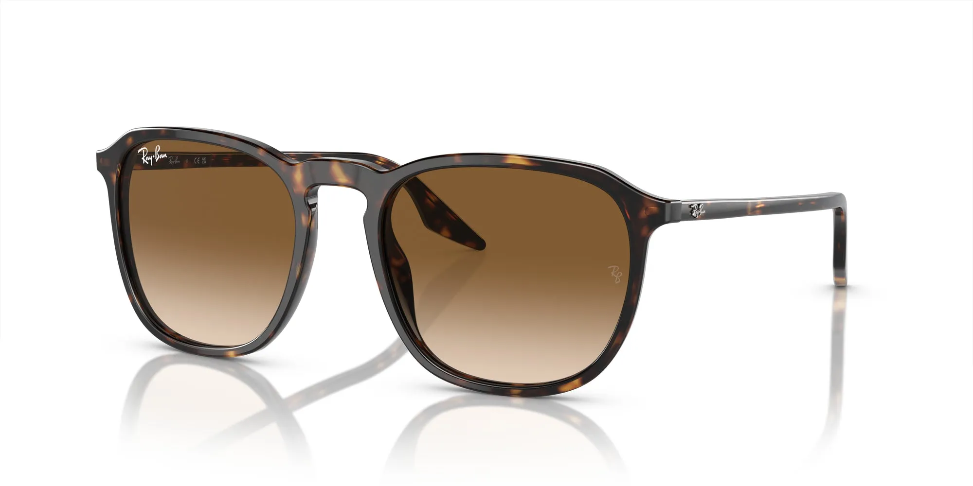 Ray-Ban RB2203 Sunglasses