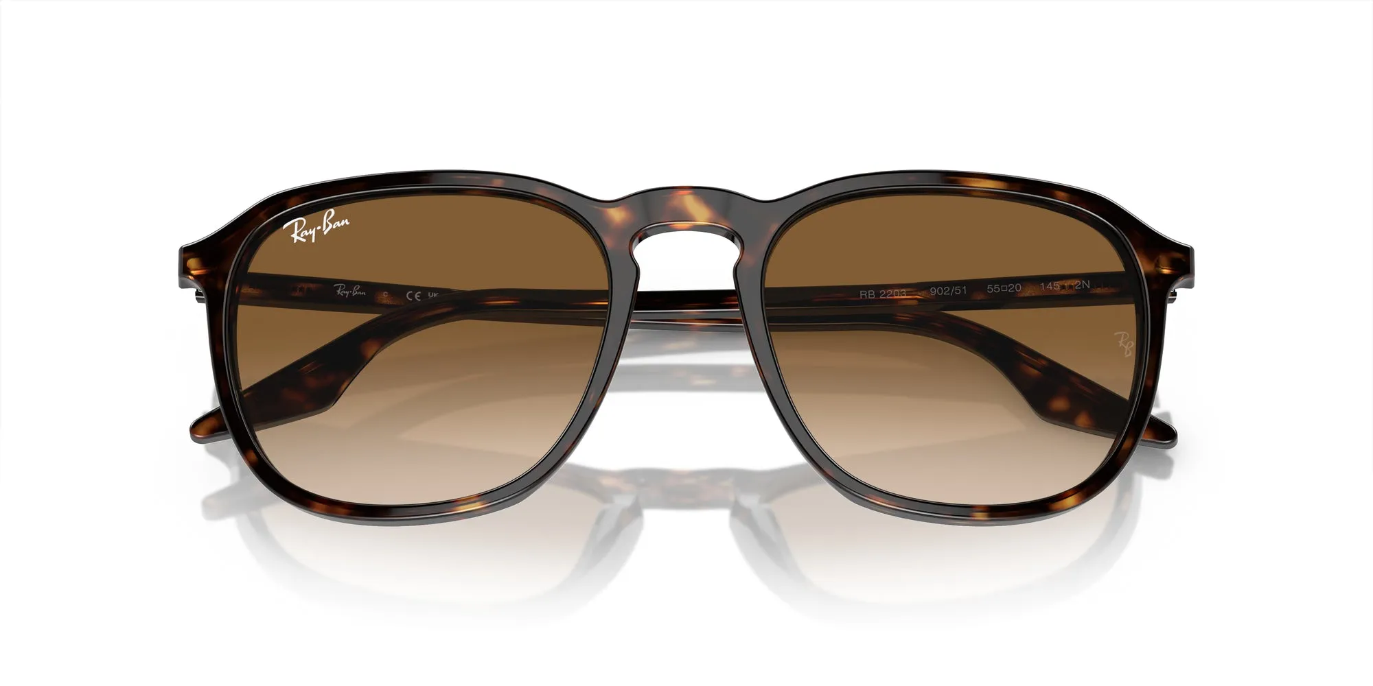 Ray-Ban RB2203 Sunglasses