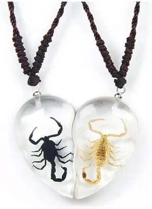 Real Scorpion Necklace - Golden and Black Scorpion in Clear Heart - 1.25" Tall, Adjustable 22" Cord